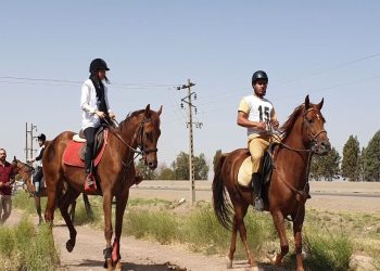 اسب سواری حرفه ای