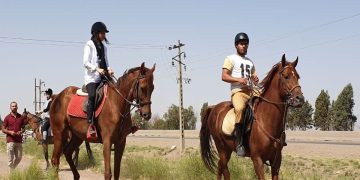 اسب سواری حرفه ای