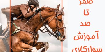 اموزش سوارکاری از صفر