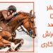اموزش سوارکاری از صفر